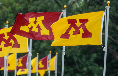 Maroon and gold flags with UMN "M" symbol