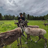 Matt Rosendahl feeding three reindeer in Sápmi