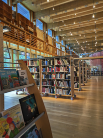 Inside the Sámi library in Norway's Sámi Parliament, with shelves displaying books about Sámi culture
