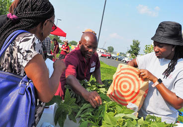 Three people looking at vegetables at a market