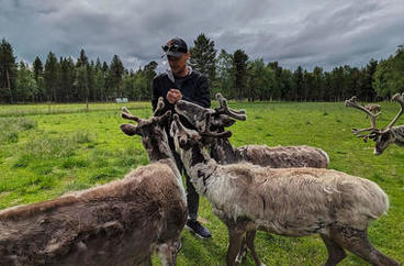 Rosendahl feeding reindeer